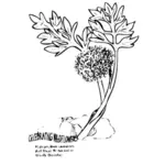 Растение с листьями линии искусства векторные картинки
